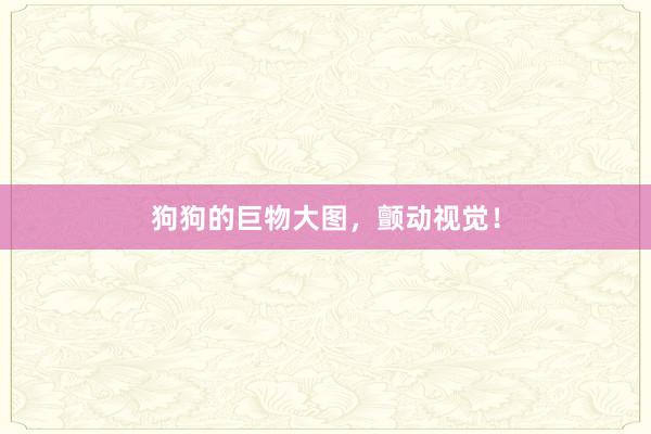 狗狗的巨物大图，颤动视觉！
